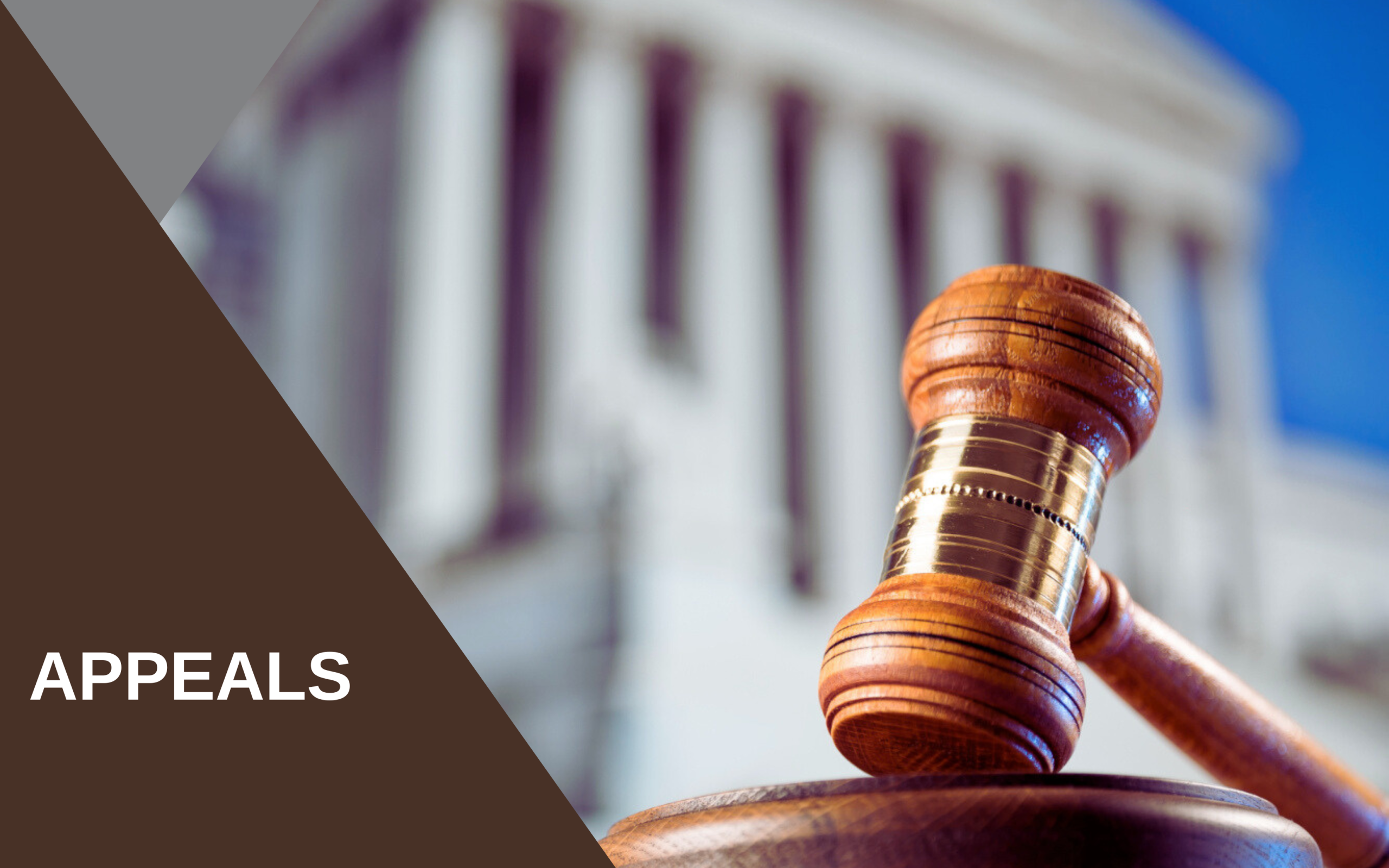 Appeals Blog Header